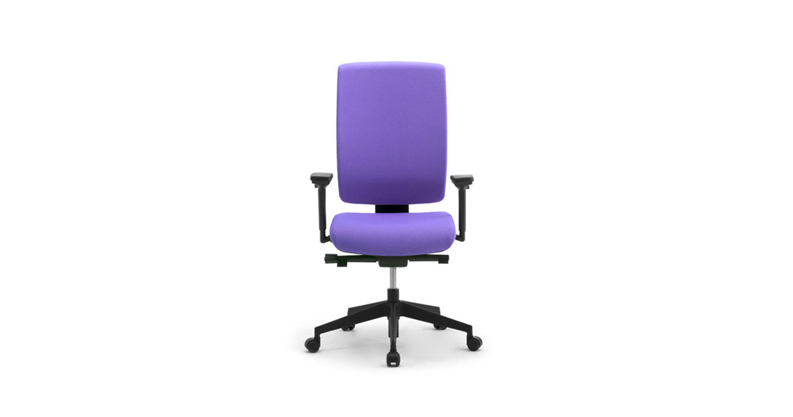 Ergonomic Office Chair With Lumbar Support Leyform