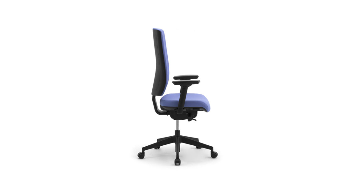 Ergonomic Office Chair With Lumbar Support Leyform