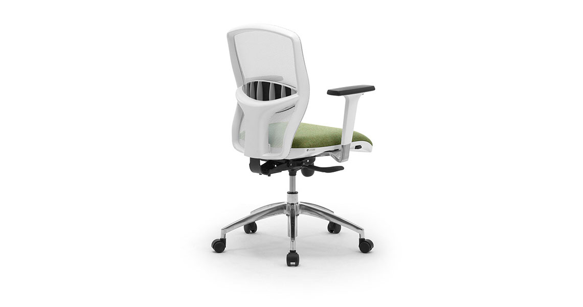 SHAPEVITAL Lordosenstütze Vital-Office - Ergonomische Rückenstütze für  Bürostühle und Autos - Mesh-Design Lendenkissen für aufrechte Körperhaltung