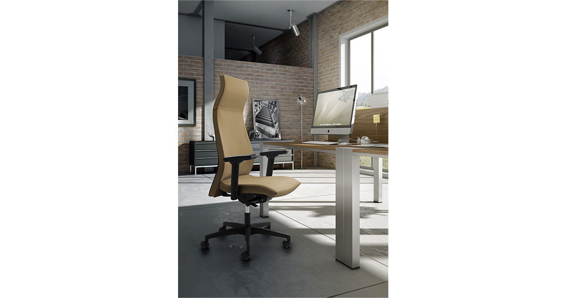 Gesture Ergonomic Office & Desk Chair