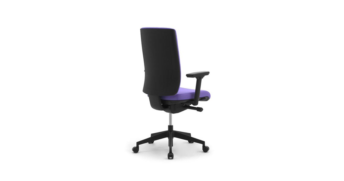 Ergonomic Office Chair With Lumbar Support Leyform