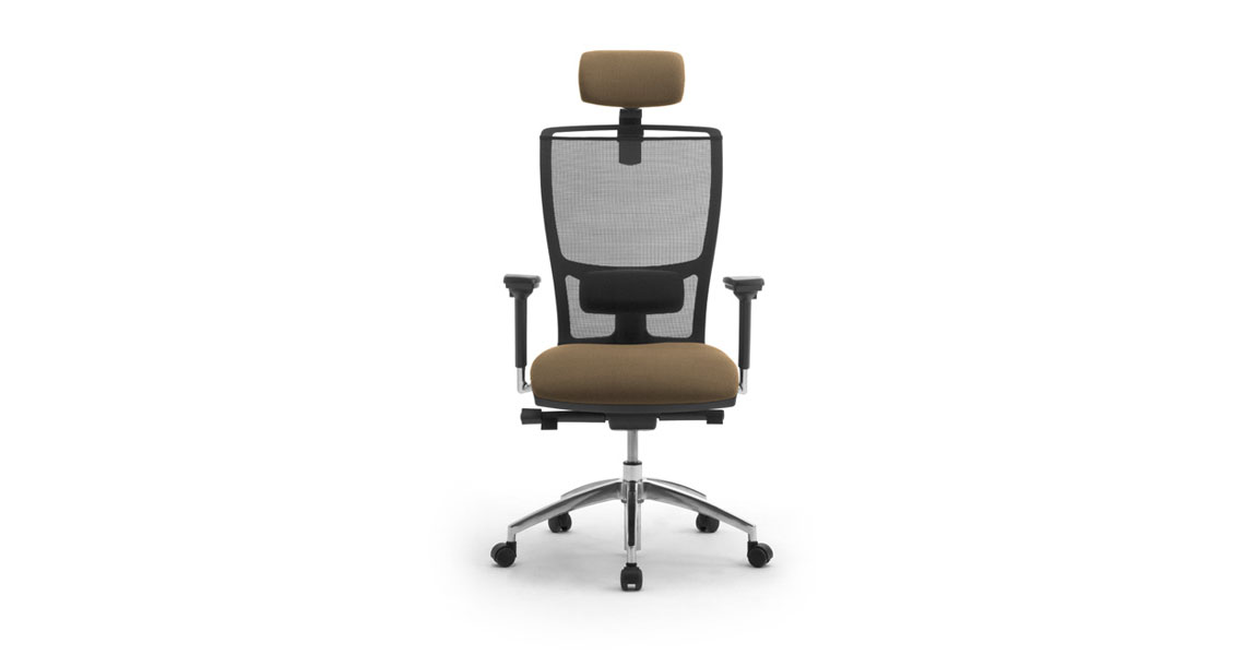 Ergonomic office chairs with mesh - Leyform